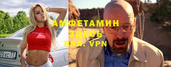 сатива Балахна