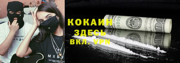 прущие грибы Балабаново