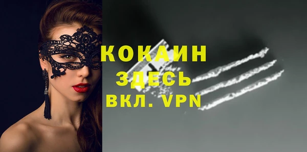 сатива Балахна