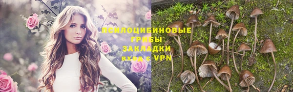 винт Белоозёрский