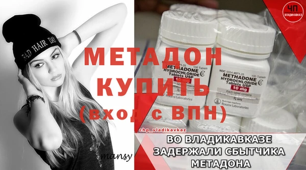 прущие грибы Белокуриха