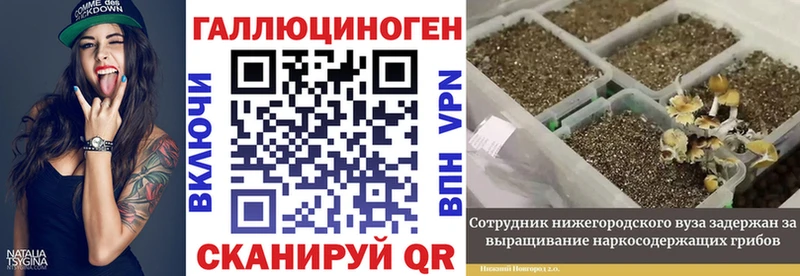 дарк нет Telegram  Белорецк  Галлюциногенные грибы Cubensis 