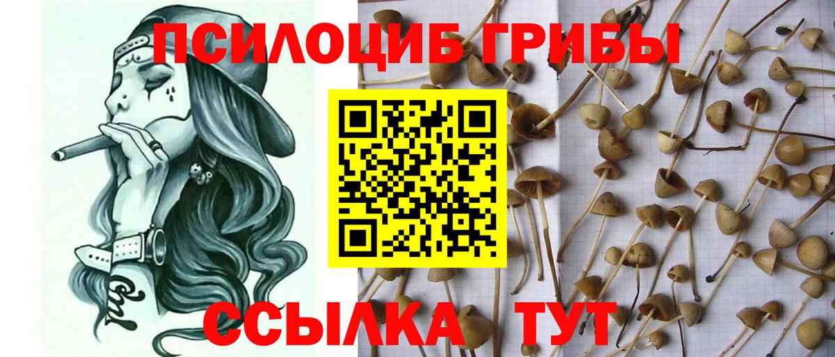 Белорецк  Псилоцибиновые грибы Psilocybine cubensis  где продают наркотики  Вход с VPN  Псилоцибиновые грибы Psilocybe 