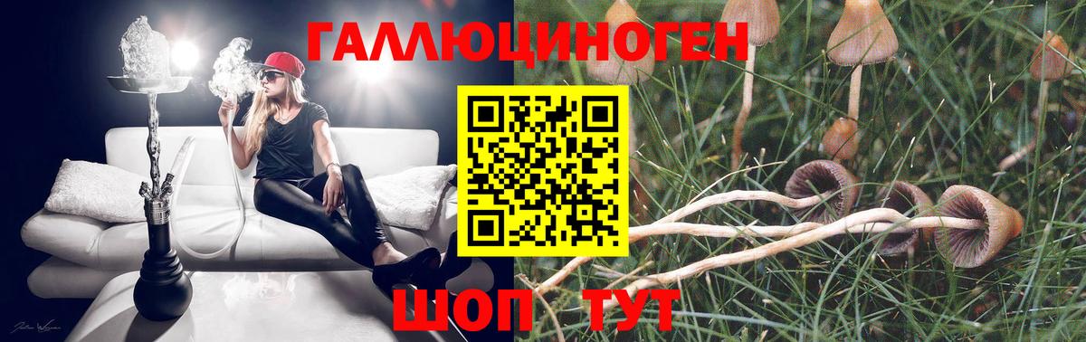 Галлюциногенные грибы Cubensis Белорецк